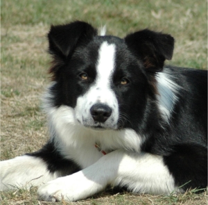 Reef at 6 months